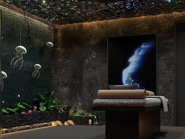Mẫu thiết kế Spa dưỡng sinh độc lạ