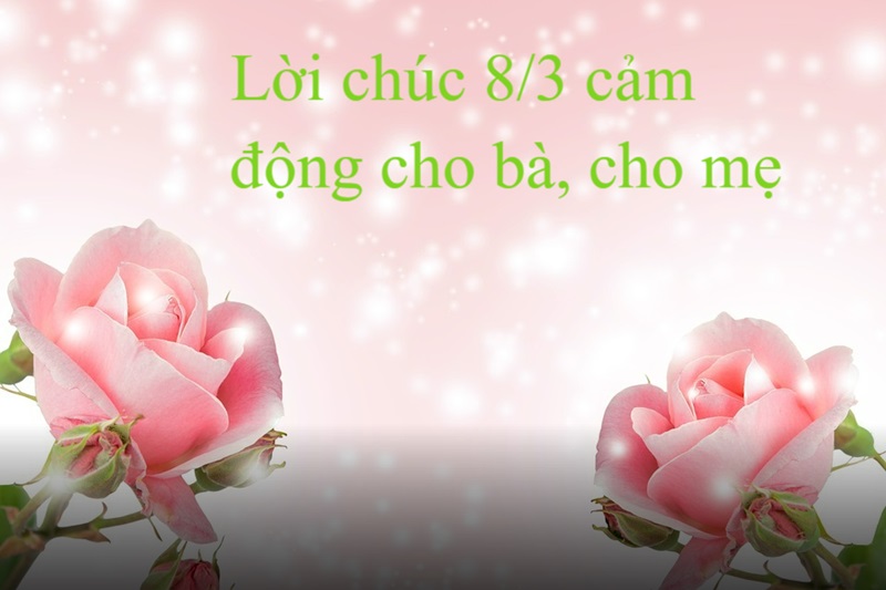 66 lời chúc 8/3 hay và ý nghĩa nhất