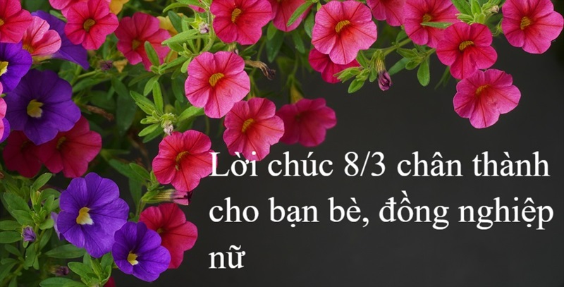 66 lời chúc 8/3 hay và ý nghĩa nhất